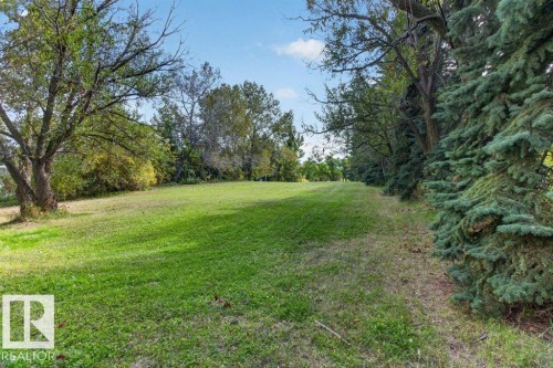 Expansive green space featuring a grass surface, mature deciduous trees, and evergreen trees - #74 22555 Twp Road 530, Rural Strathcona County, AB 