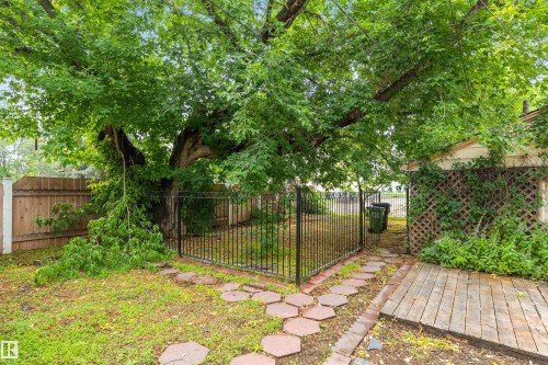 11230 75 Avenue Nw, Edmonton, AB 