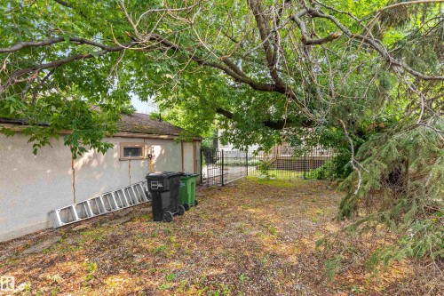 11230 75 Avenue Nw, Edmonton, AB 