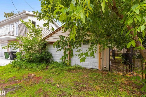 11230 75 Avenue Nw, Edmonton, AB 