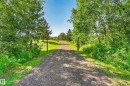 Gravel driveway framed by mature trees and lush green landscaping - 22245 Twp Road 512, Rural Strathcona County, AB 