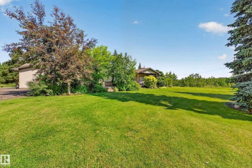 Expansive green lawn with mature trees and a gravel driveway - 22245 Twp Road 512, Rural Strathcona County, AB 
