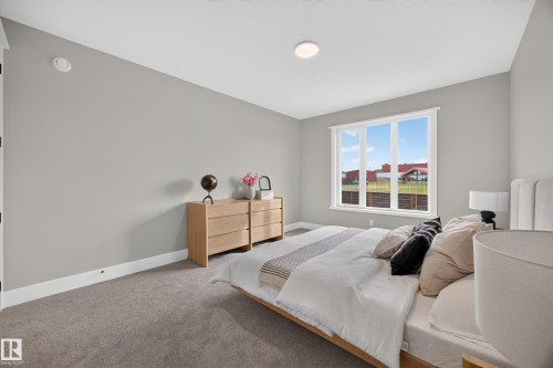 Recessed ceiling lighting, large window with multi-pane design, neutral wall color, and carpeted flooring - 209 Hampshire, Sherwood Park, AB 