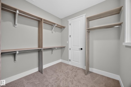 Built-in closet system featuring multiple shelves and hanging rods, neutral gray walls, and plush carpeting - 209 Hampshire, Sherwood Park, AB 