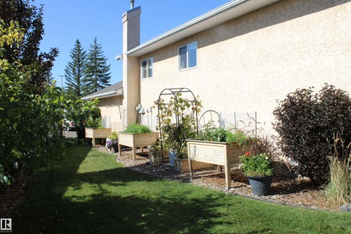 Expansive side yard featuring a stucco exterior, raised garden beds, mature landscaping, and a manicured lawn - 3815 41 Street Nw, Edmonton, AB 