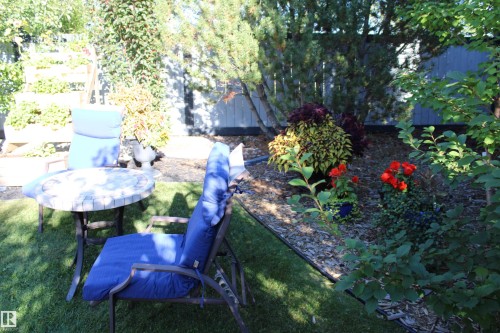 Manicured lawn area with an adjacent garden bed featuring various plantings - 3815 41 Street Nw, Edmonton, AB 