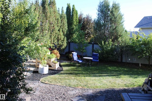 Expansive backyard featuring a manicured lawn, established trees, privacy fencing, and a decorative rock pathway - 3815 41 Street Nw, Edmonton, AB 
