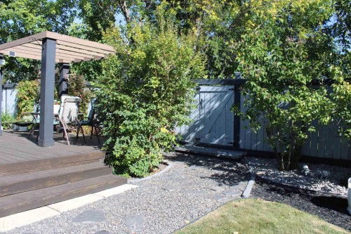 Expansive wood-finish deck with a pergola, gravel pathway, mature landscaping, and a privacy fence with gate - 3815 41 Street Nw, Edmonton, AB 