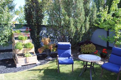 Manicured lawn area with a privacy fence, mature trees, and a tiered planter box - 3815 41 Street Nw, Edmonton, AB 