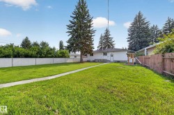 Expansive backyard with a manicured lawn, mature evergreen trees, and a concrete pathway - 