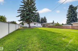 Expansive lawn area with a mature evergreen tree - 