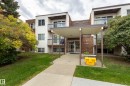 #304 11425 41 Av Nw, Edmonton, AB 