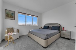 Expansive window with roller blinds, soft grey carpeting, and crisp white walls - 