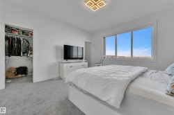 Spacious room featuring light gray carpet flooring, large multi-pane window, and a built-in closet with shelving and hanging storage - 
