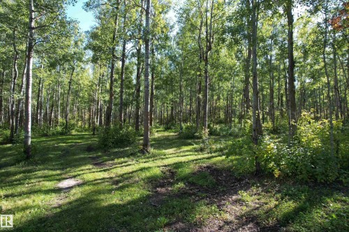 21557 Wye Road, Rural Strathcona County, AB 
