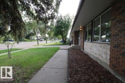 Brick and textured stone exterior, multiple windows, concrete walkway, established front yard, and an exterior light fixture - 