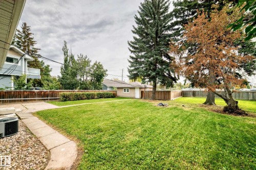 Expansive green lawn, mature trees, wood fence enclosure, concrete pathway, detached shed - 10715 133 Street Nw, Edmonton, AB 