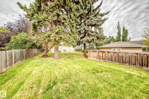 Expansive backyard featuring a manicured lawn, mature trees, and a full-height wood fence - 10715 133 Street Nw, Edmonton, AB 