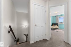 Carpeted hallway with a wood-finish handrail, white interior doors, and a ceiling-mounted light fixture in the adjacent room - 