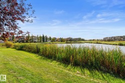 Expansive green space with mature plantings, bordering a tranquil water feature - 