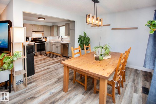 Open-concept kitchen and dining area featuring wood-finish flooring, gray cabinetry, stainless steel appliances, and a modern chandelier - 8 Ash Crescent, St. Albert, AB 