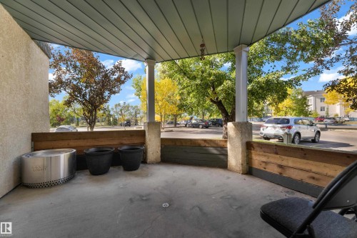 Covered outdoor patio with a concrete floor, slatted ceiling, and wood-paneled privacy wall - #113 2508 50 St Nw, Edmonton, AB 