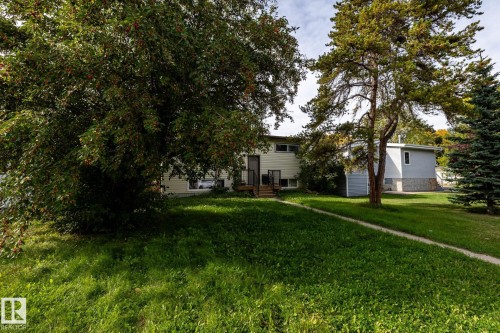 Expansive green lawn with mature trees and a paved walkway - 10972 157 Street Nw, Edmonton, AB 
