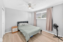 Light wood-finish flooring, a ceiling fan, and a double-pane window - 