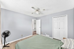 Light blue painted walls and wood-finish flooring - 