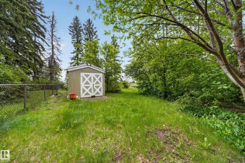 Expansive green space featuring a utility shed with paneled double doors, mature trees, and chain-link fencing - 719 65 Ave Nw, Edmonton, AB 