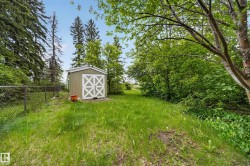 Expansive green space featuring a utility shed with paneled double doors, mature trees, and chain-link fencing - 