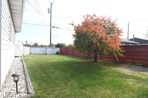 Great yard, both front and back, and backing onto the ravine that leads to Gold Bar Park.  You even get a bonus apple tree.  Pick one when you're here.  They're great - 10243 42 Street Nw, Edmonton, AB 