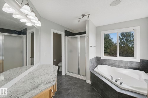 119 Caldwell Way Nw, Edmonton, AB 