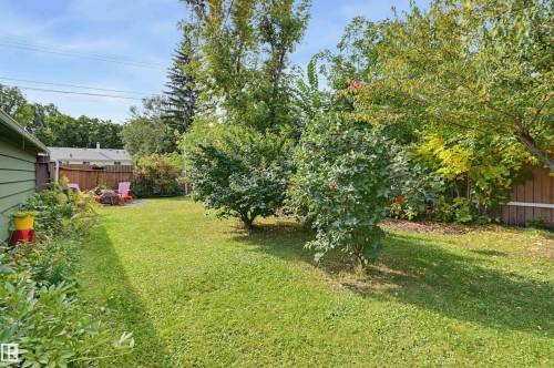 Generous green space with mature trees and established plantings - 13655 122 Avenue Nw, Edmonton, AB 