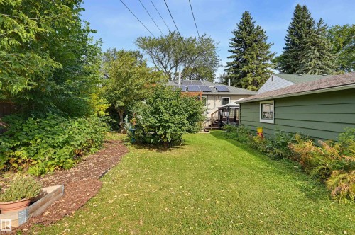 Expansive green lawn with established shrubbery, mature trees, and a detached structure with siding - 13655 122 Avenue Nw, Edmonton, AB 