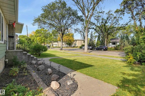 Manicured front lawn with mature trees and a paved walkway - 13655 122 Avenue Nw, Edmonton, AB 