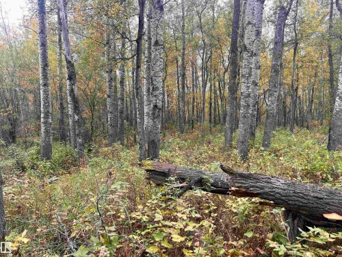 Twp 625 Rr 210, Rural Thorhild County, AB 