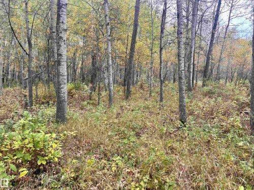 Twp 625 Rr 210, Rural Thorhild County, AB 