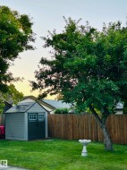 Manicured lawn with mature trees, wood fence, and a storage shed featuring panel siding and a gabled roof - 