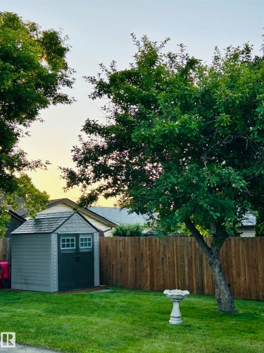 Manicured lawn with a privacy fence, mature trees, and a freestanding storage shed - 12 Hughes Road Nw, Edmonton, AB 
