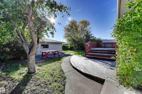 Expansive backyard featuring a multi-level wood deck, mature trees, and concrete pathways - 13815 88 Street Nw, Edmonton, AB 