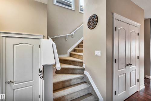 Curved carpeted staircase, paneled interior doors, white trim, and light wall finishes - 337 Southfork Drive, Leduc, AB 