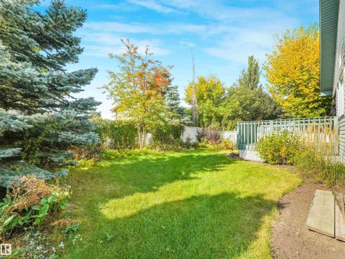 16206 84 Street Nw, Edmonton, AB 