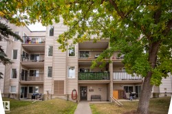 #407 9810 178 ST NW  Edmonton, AB T5T 3H4
