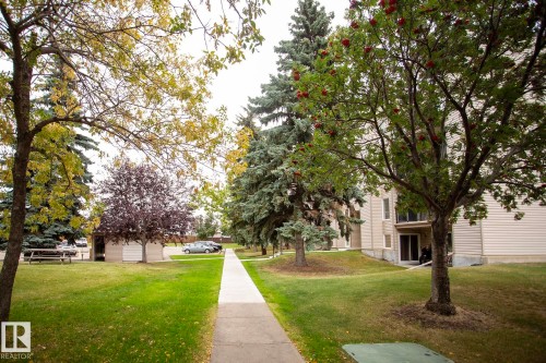 Manicured lawn with mature trees, concrete pathway, and a multi-level building with siding exterior - #407 9810 178 St Nw, Edmonton, AB 