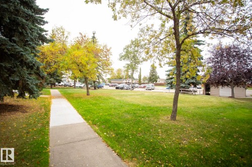 Manicured green space with mature trees, a concrete pathway, and a distant parking area - #407 9810 178 St Nw, Edmonton, AB 