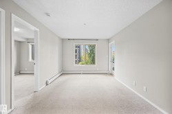 Spacious room featuring neutral carpeting, light-toned wall paint, and a window providing natural illumination - 