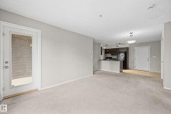 Expansive open-concept room featuring carpet flooring and a glass-paneled door - 