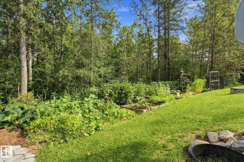 Expansive backyard featuring a manicured lawn, raised garden beds, and mature trees - #45 53122 Rge Road 14, Rural Parkland County, AB 