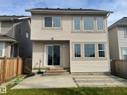 Rear exterior with light-colored siding, black shingle roof, and multiple large windows - 